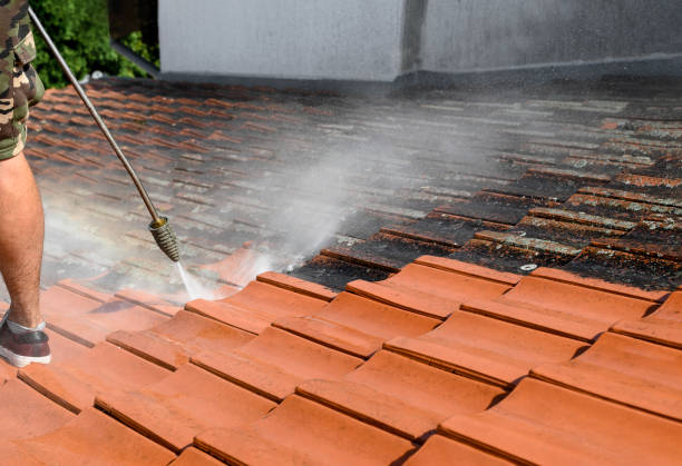 Best Fence Pressure Washing  in Hurlburt Field, FL